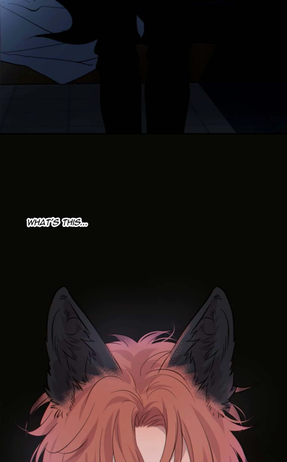 79169560 940 1514 43302